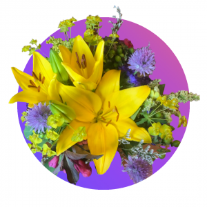 Asian Lilies